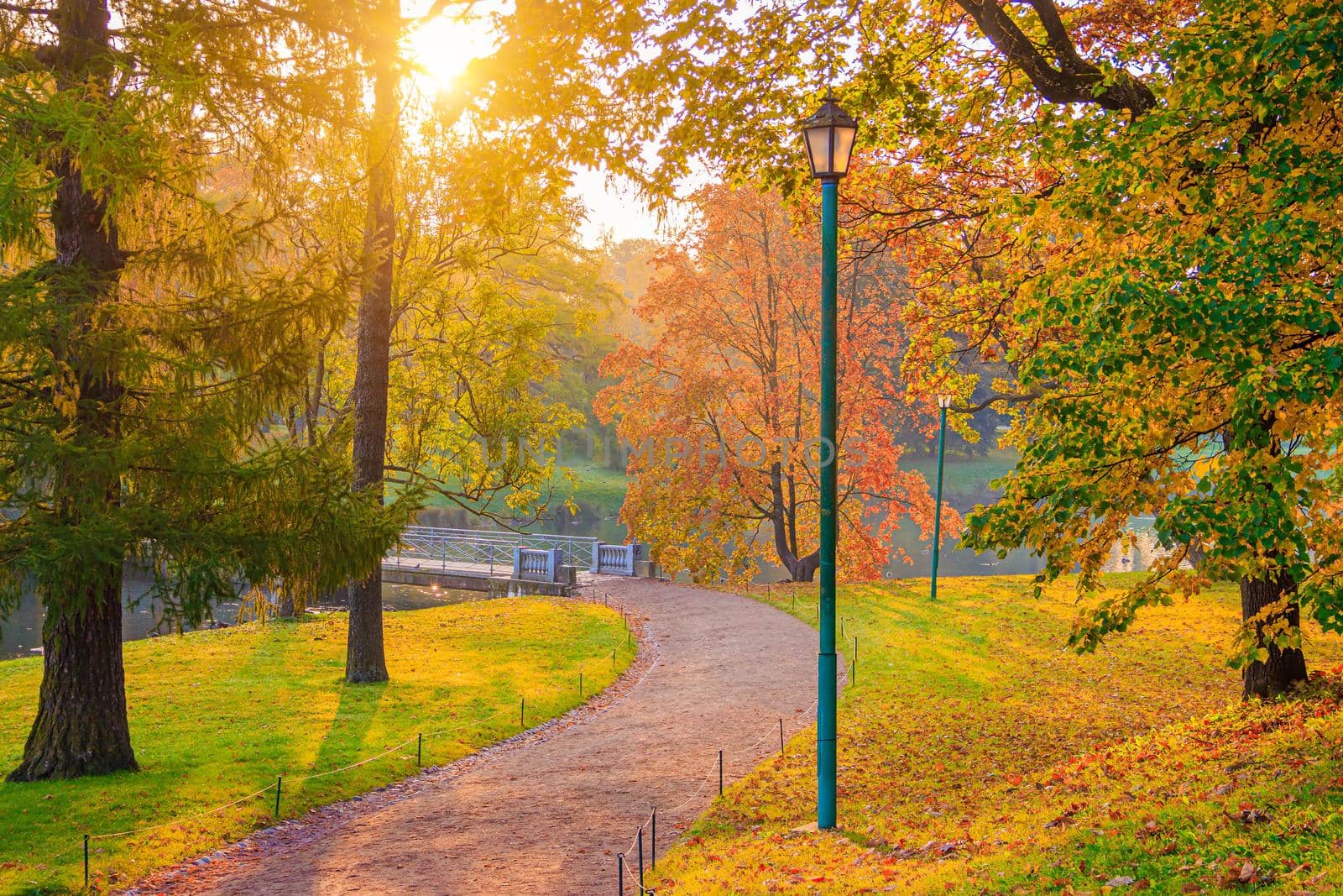 The alley of the autumn park . The season is autumn. September, October, November. A new season. Yellow leaves. A beautiful park. Morning light. Morning autumn Park. Nature