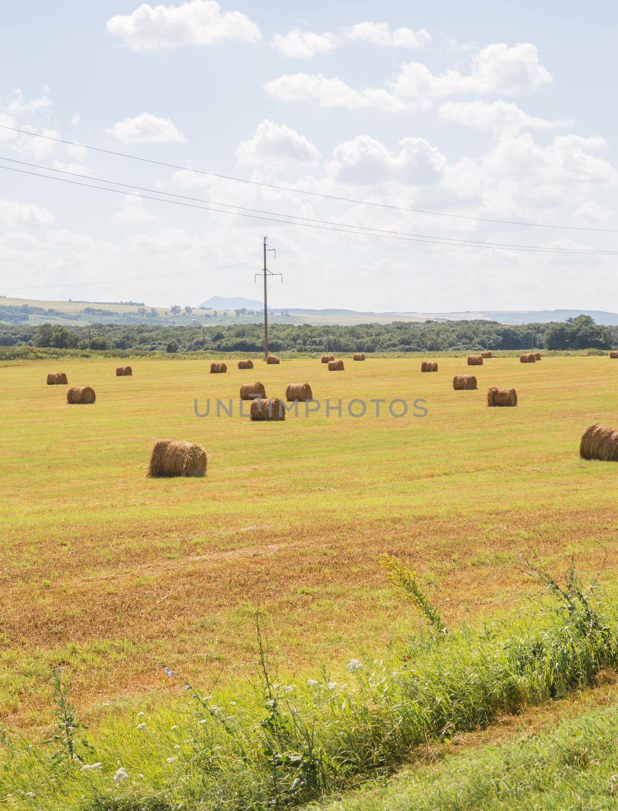 round bales of straw in the meadow by Mariakray
