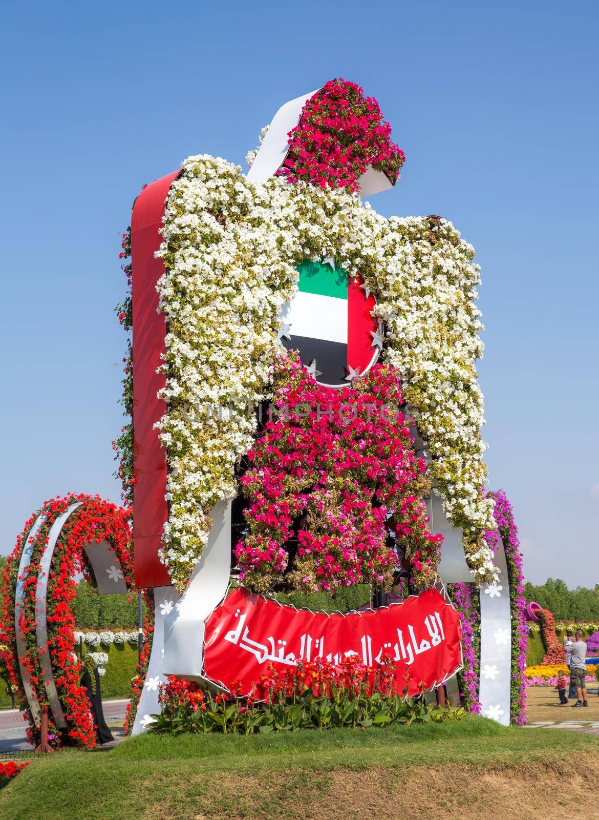 DUBAI, UAE - JANUARY 20: Miracle Garden in Dubai, on January 20, 2014, Dubai, UAE. Beautiful Miracle Garden with 45 million flowers by Mariakray