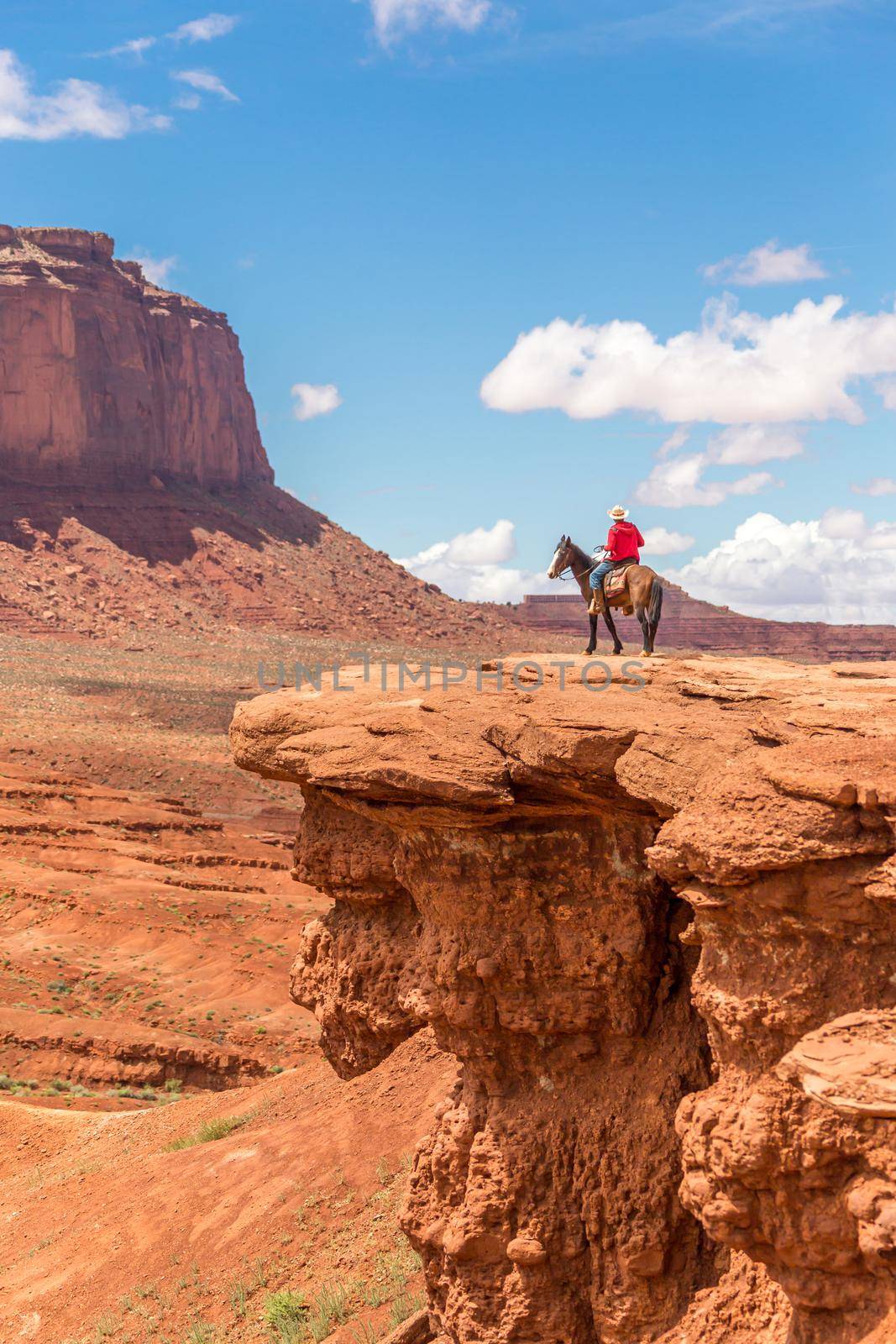 Cowboy looking at the horizon, Monument Valley Navajo Tribal Park