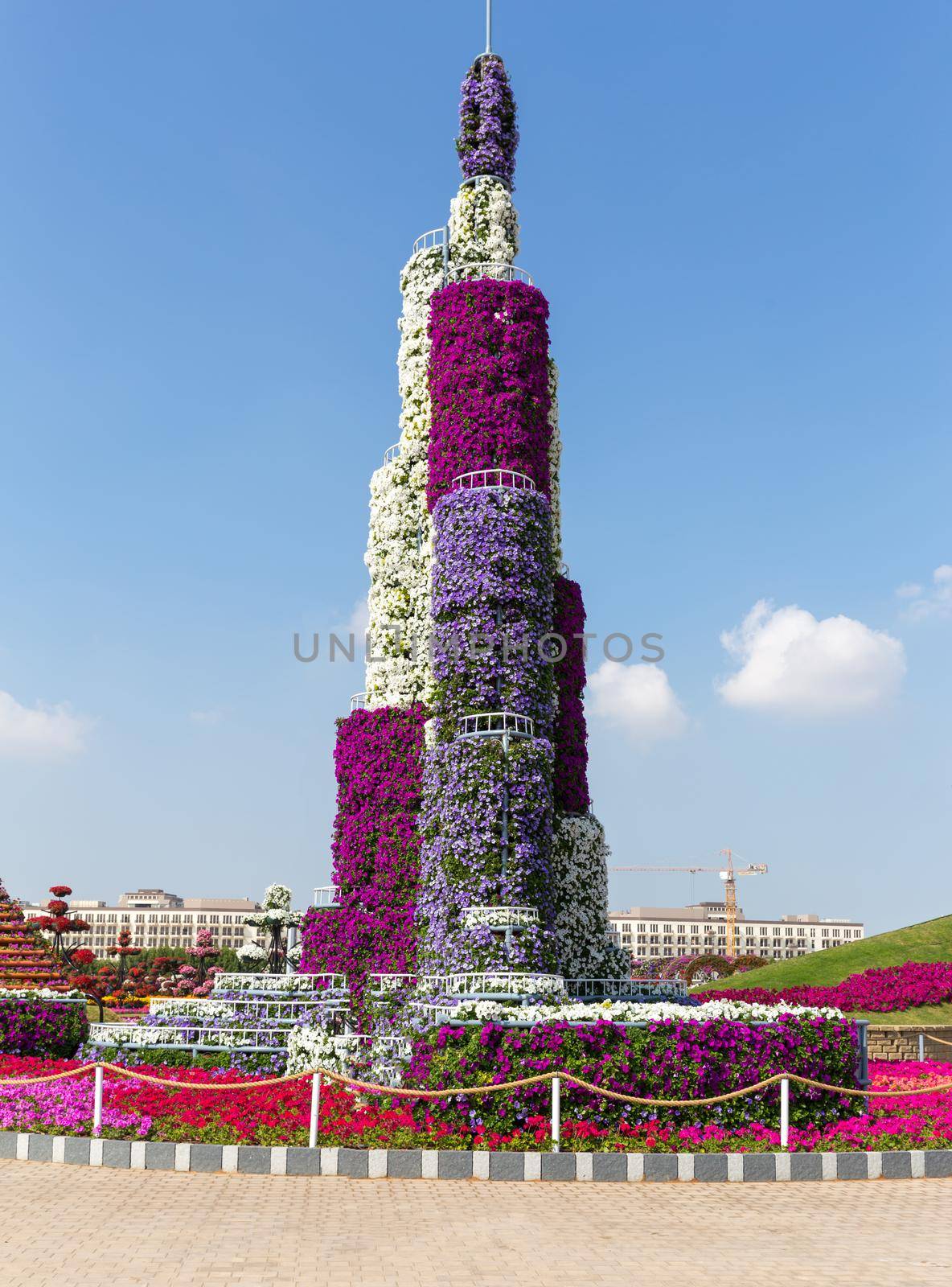 DUBAI, UAE - JANUARY 20: Miracle Garden in Dubai, on January 20, 2014, Dubai, UAE. Beautiful Miracle Garden with 45 million flowers