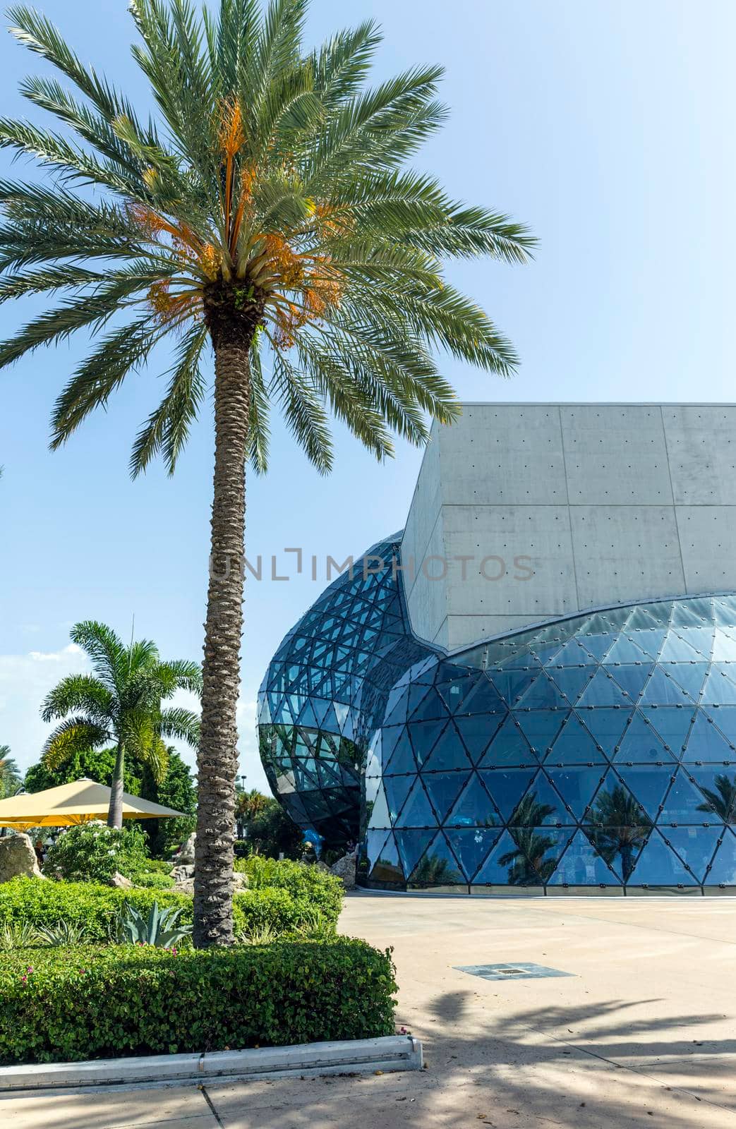 ST. PETERSBURG, FLORIDA - SEPTEMBER 2: Exterior of Salvador Dali Museum September 02, 2014 in St. Petersburg, FL. The museum has one of the largest collection of the works of Salvador Dali in the world. by Mariakray