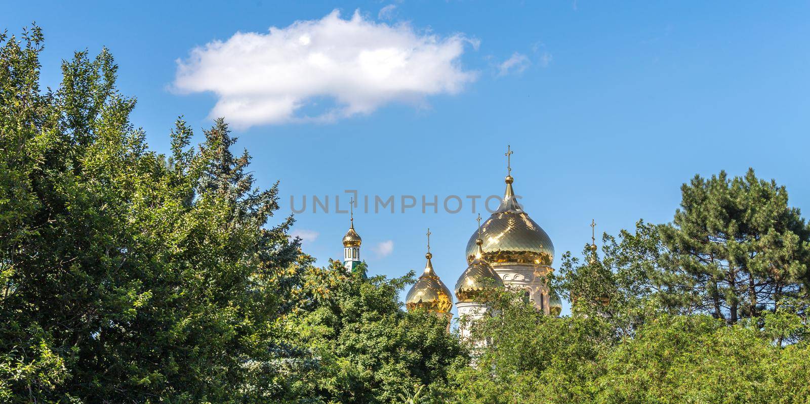 Golden dome of church, view through trees