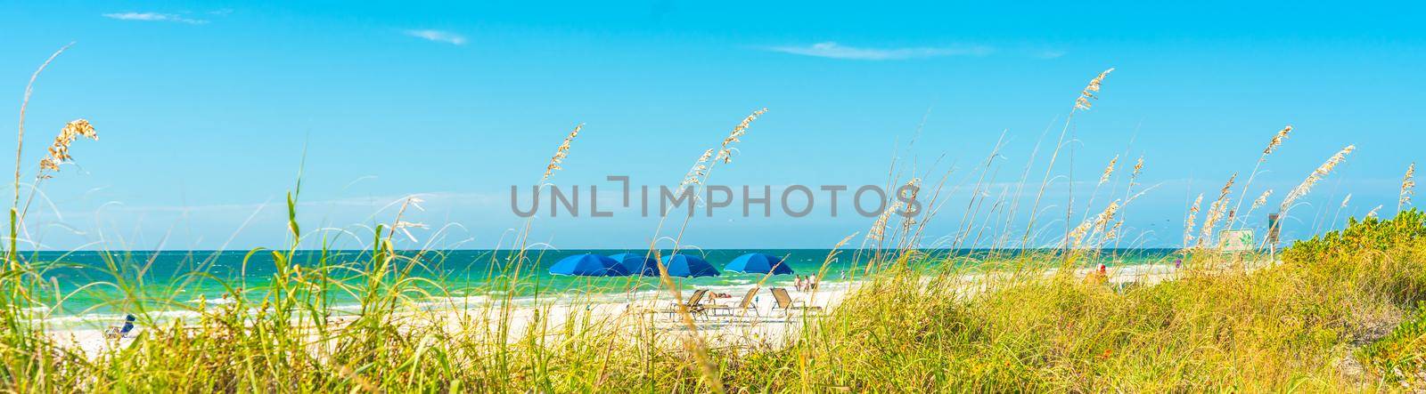 Panorama sunny beach with grass and blue sky in Florida by Mariakray