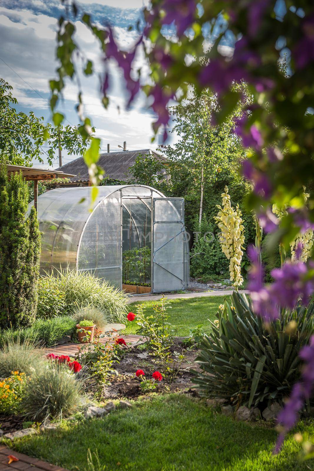 Greenhouse in back garden with open door