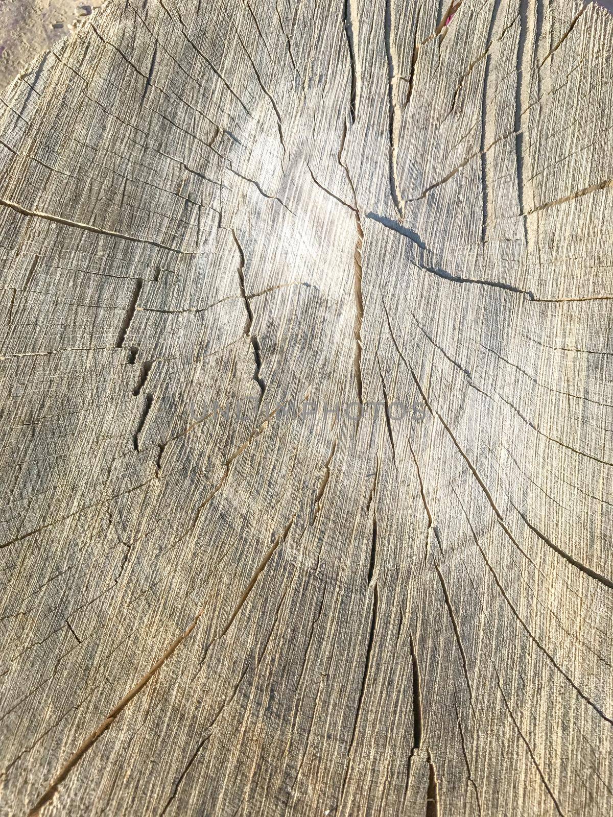 wood cut texture by Mariakray