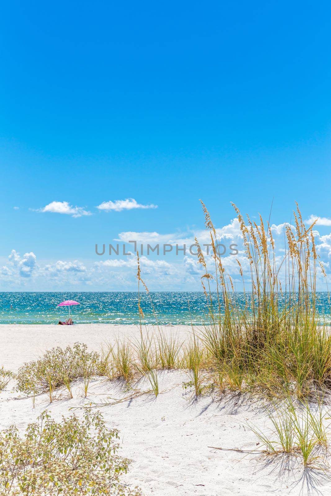 Girl sunbathing under pink umbrella on St. Pete beach in Florida, USA