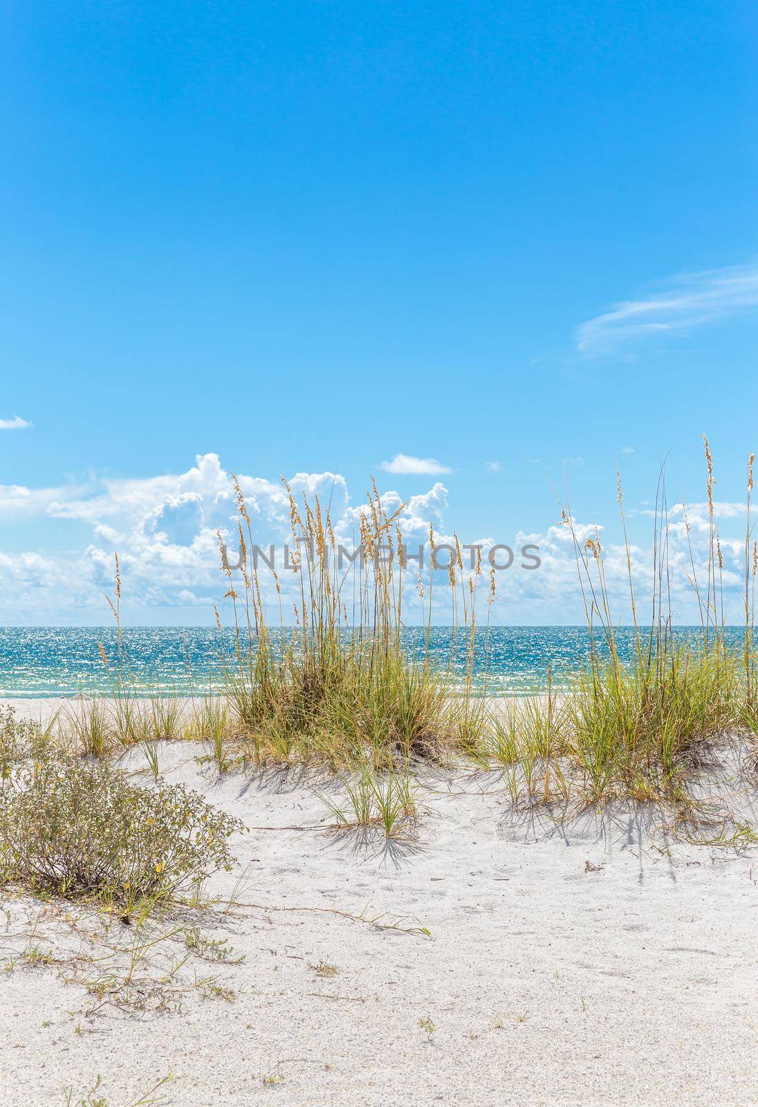 sunny St. Pete beach with sand dunes and blue sky in Florida