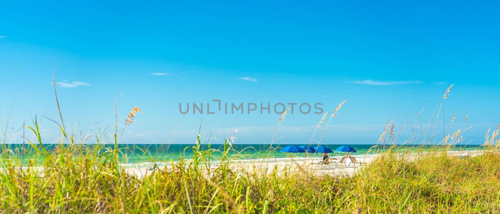 sunny beach with grass and blue sky in Florida
