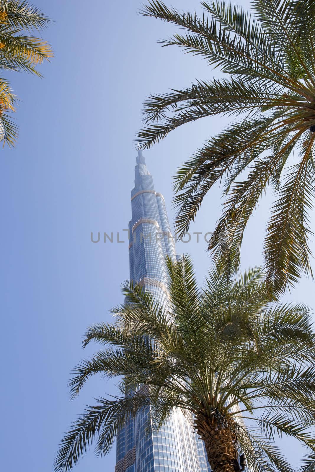 DUBAI, UNITED ARAB EMIRATES – JANUARY 20: Tower Burj Khalifa vanishing in blue sky on January 20, 2014 in Dubai. It is the tallest structure in world since 2010, 829.8 meters and one of the most visited tourist attractions in the world.