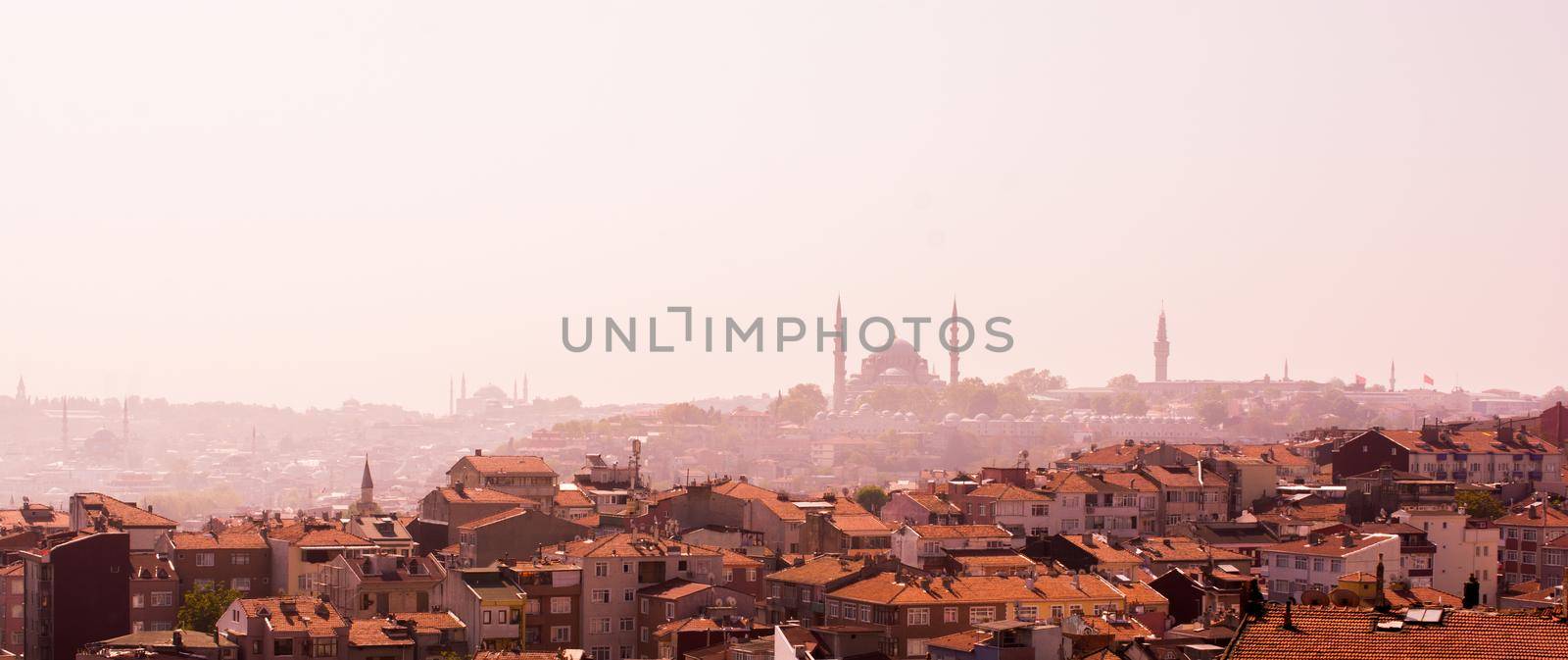 Istanbul Cityscape with famous building silhouette by berkay