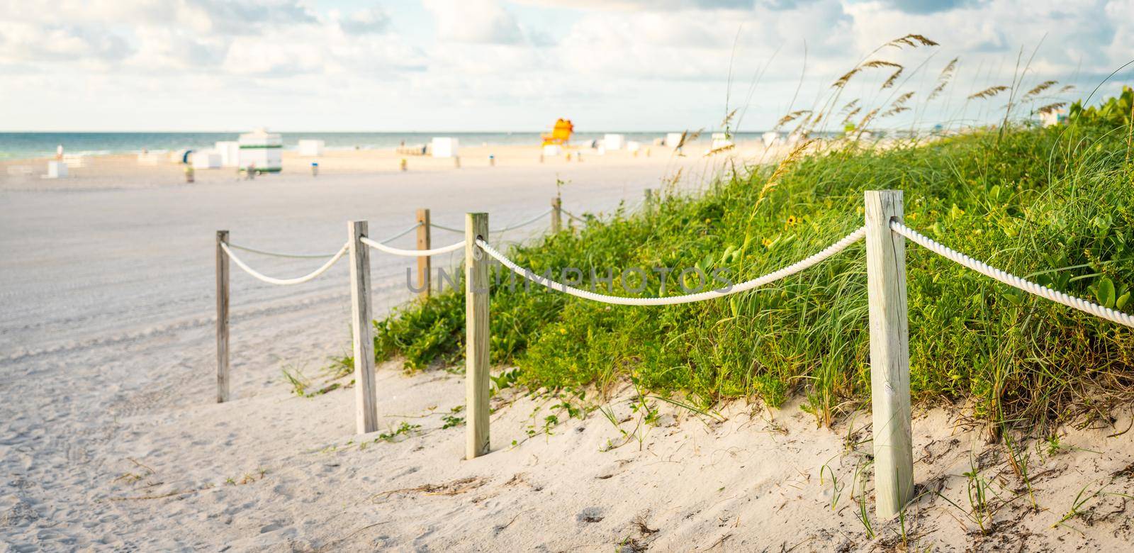 Pathway to the beach in Miami Florida with grass and ocean background