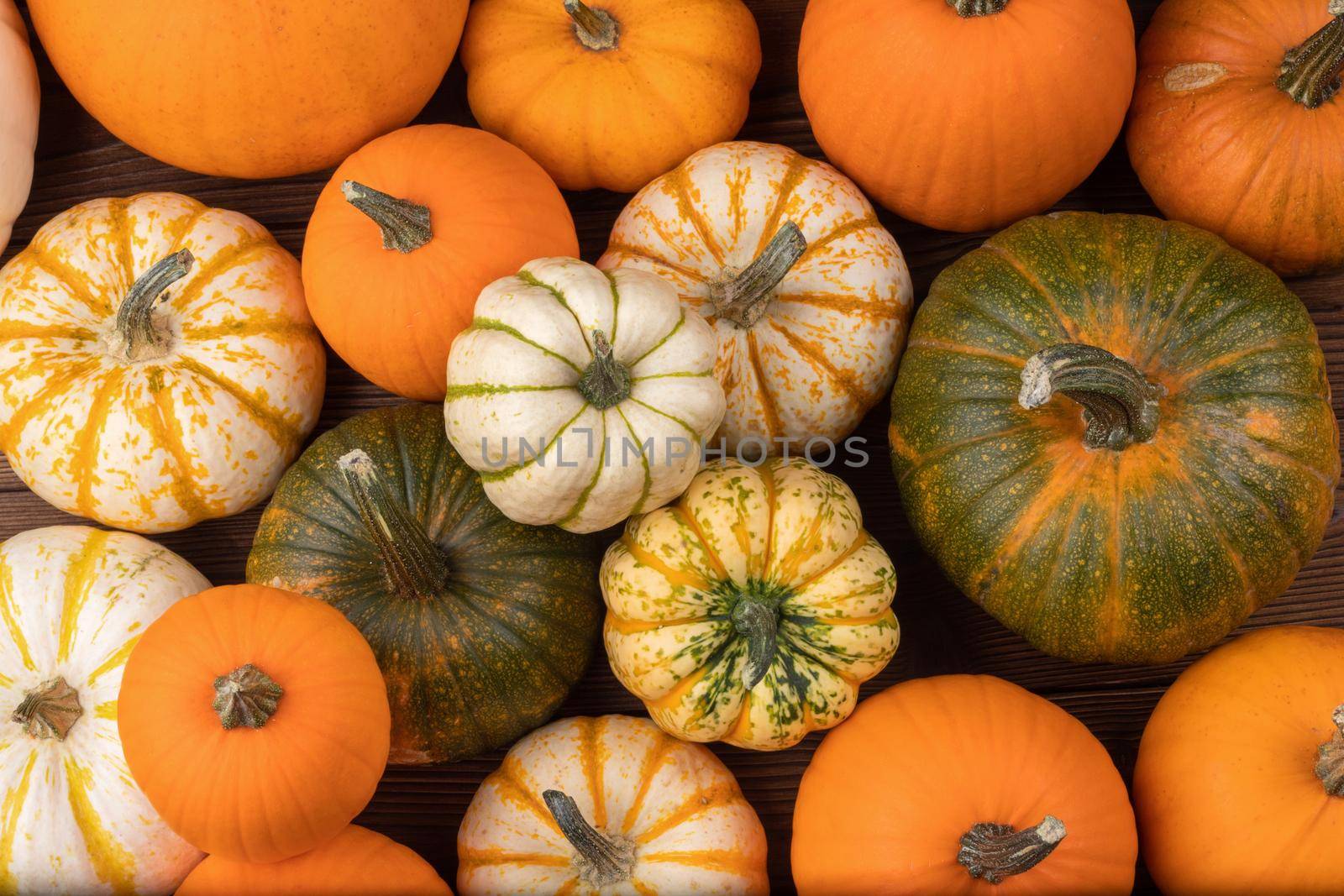 Many various colorful pumpkins background, Halloween or Thanksgiving day concept