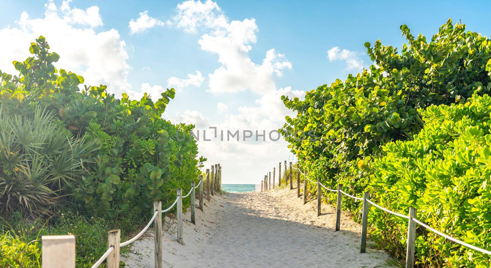 Pathway to the beach in Miami Florida with the ocean background