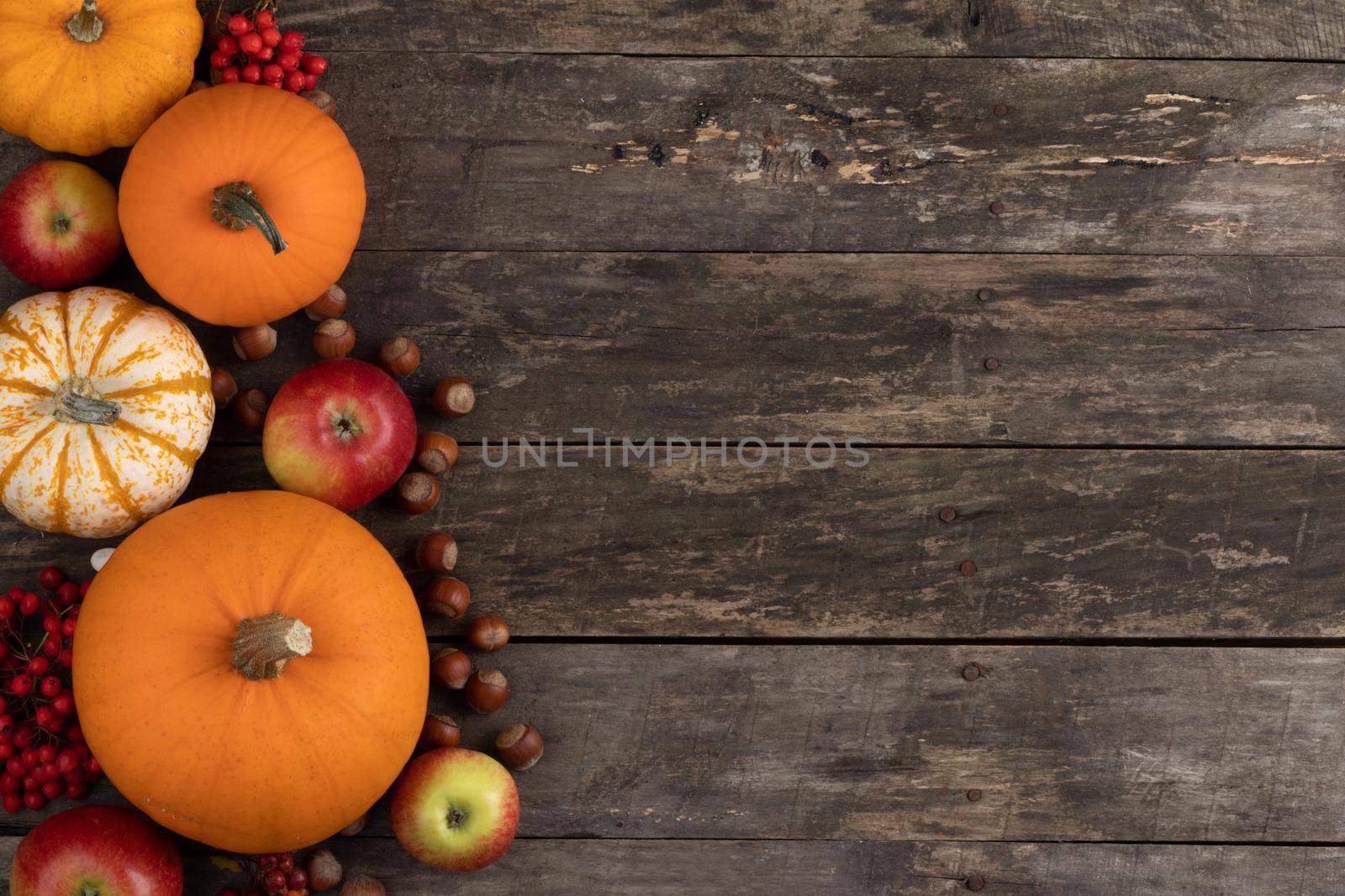 Autumn food background, pumpkin, apple, nut, rowan on old tabletop background with copy space for text