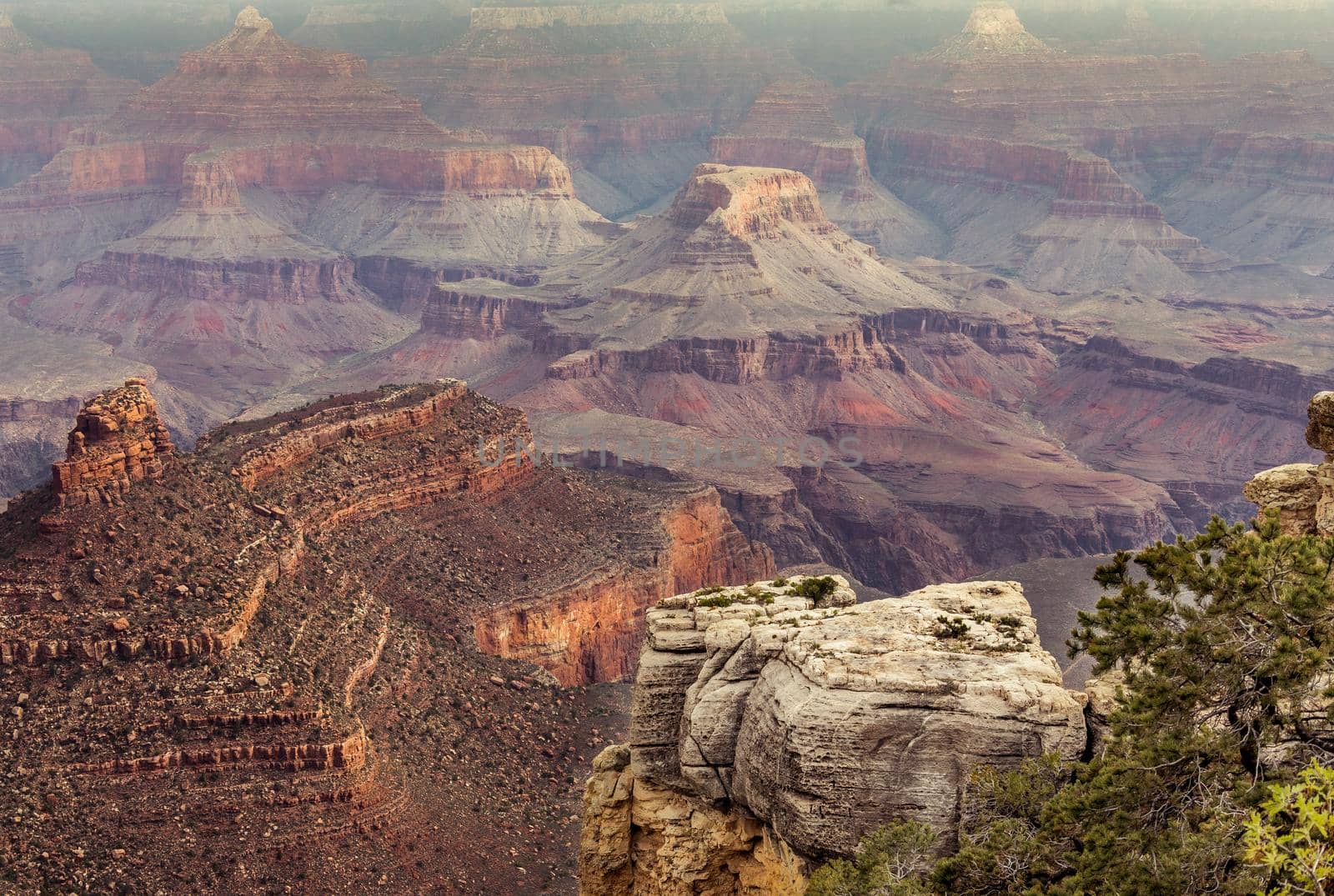 view of Grand Canyon , Arizona, USA