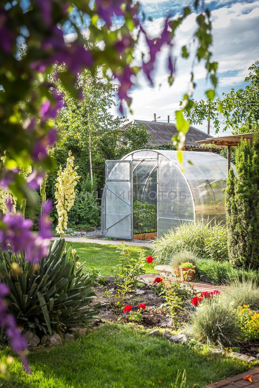 Greenhouse in garden with open door