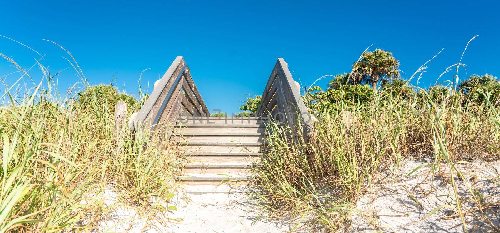 Wooden stairs over sand dune and grass at the beach in Florida USA by Mariakray