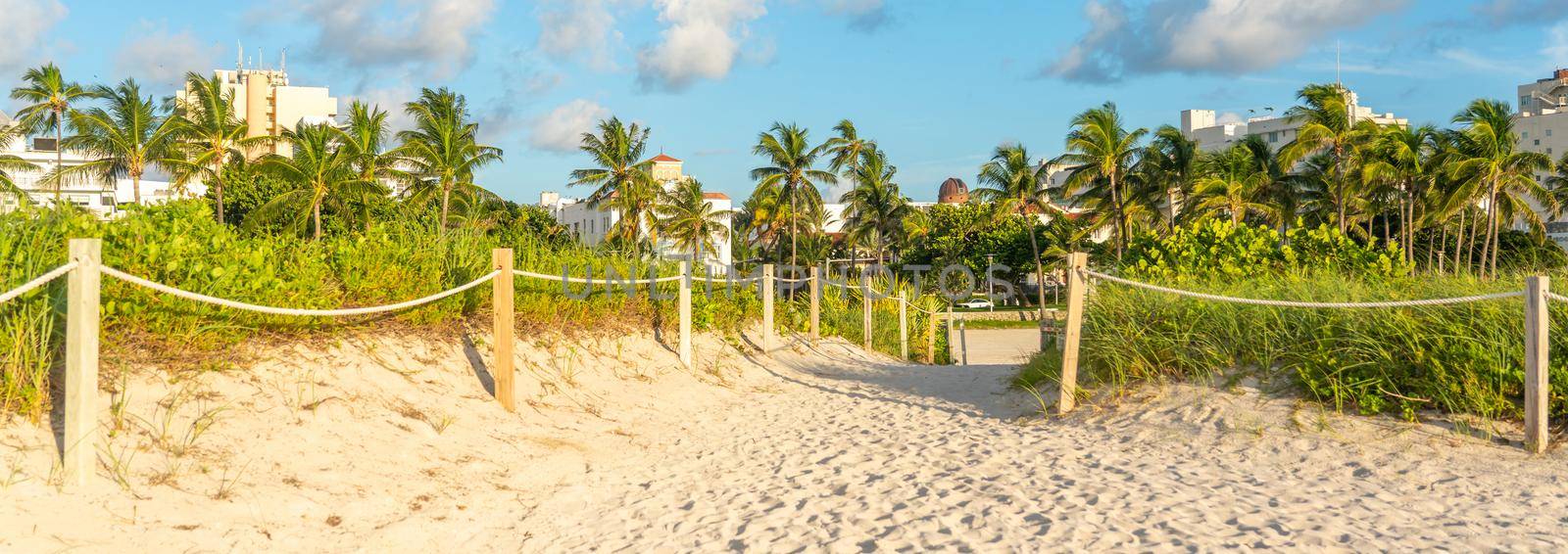 Pathway to the beach in Miami Florida with grass and ocean background