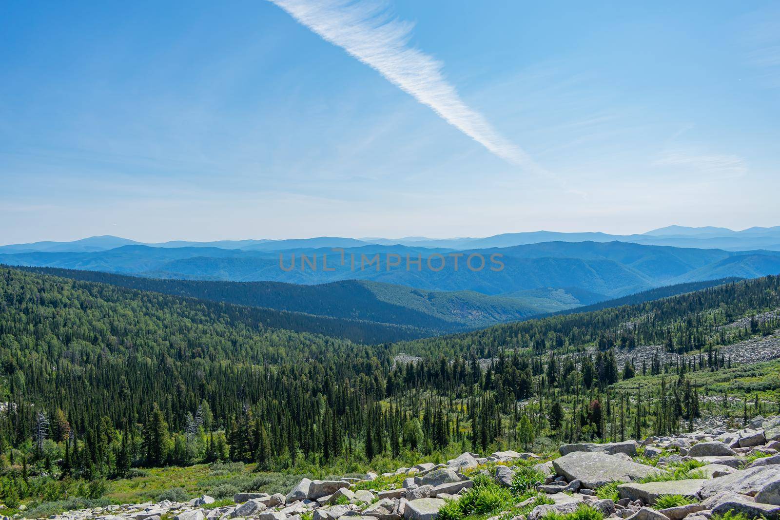Beautiful view of the mountains and coniferous forest under a clear sky