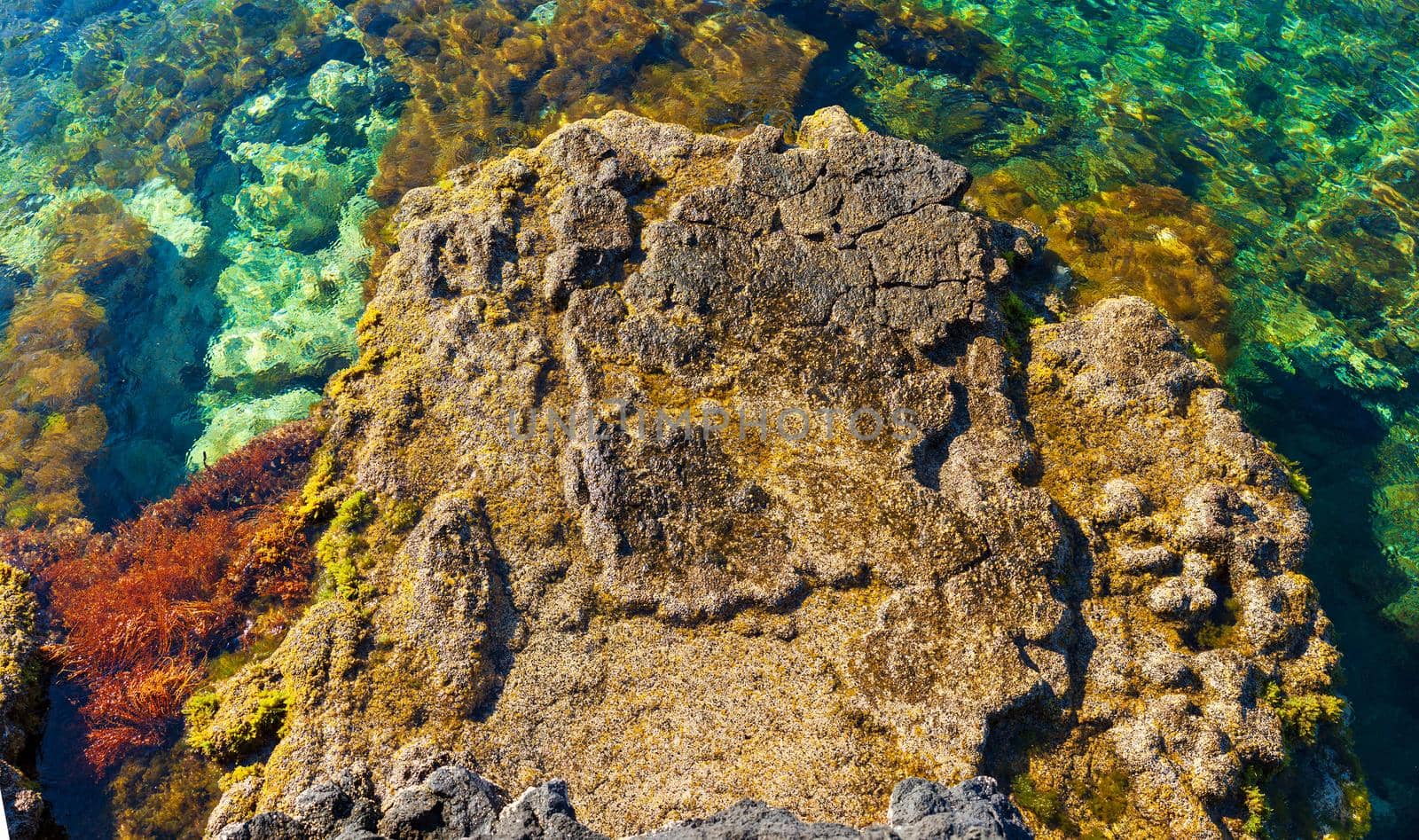 View of colorful sea of Linosa, Sicily