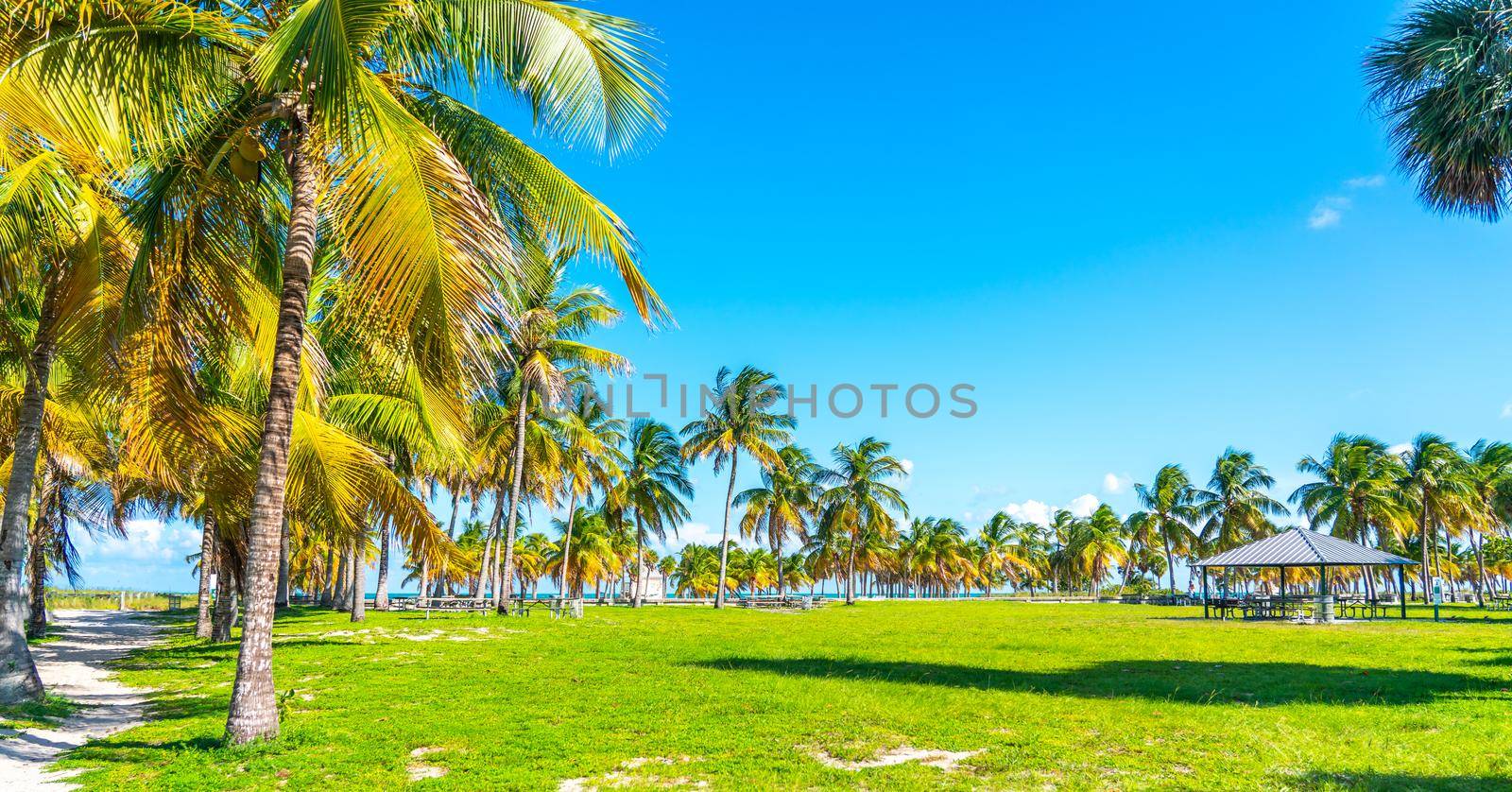Beautiful Crandon Park Beach in Key Biscayne in Miami by Mariakray
