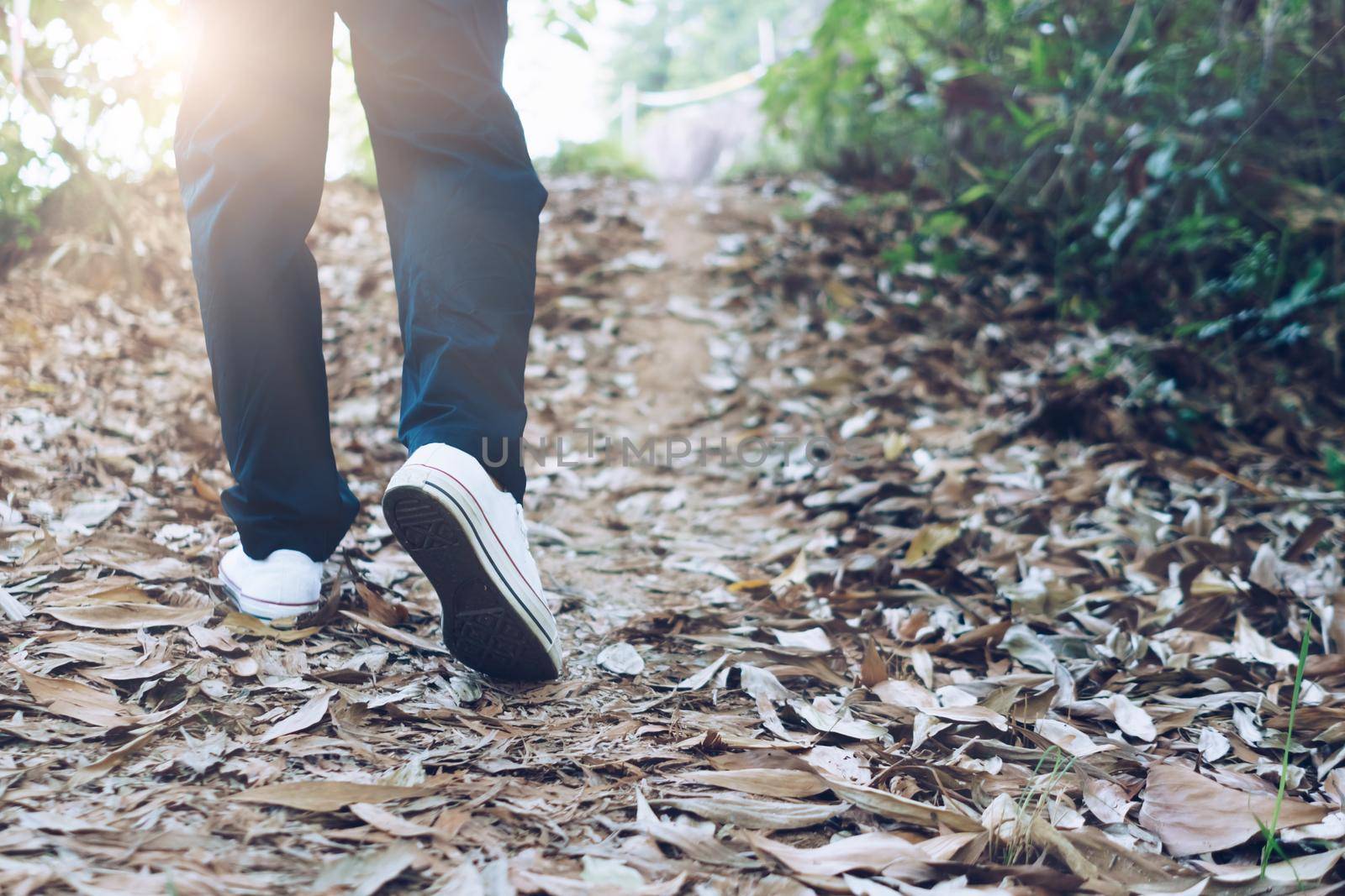 Man is walking into the wood or jungle nature walk way with sunlight.Slow life lifestyle. by Suwant