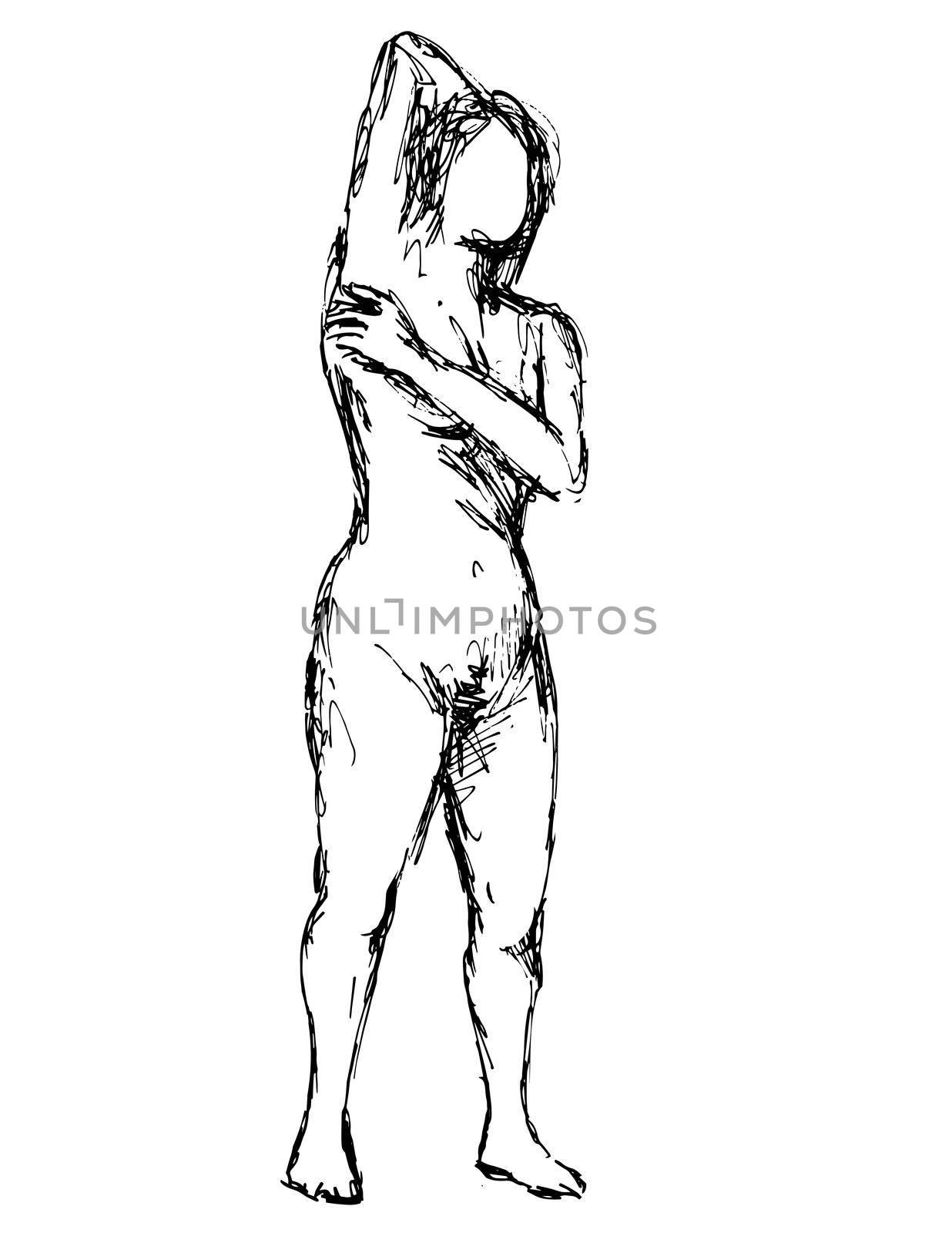 Nude Female Human Figure Posing With Hand Behind Head Doodle Art Line Drawing  by patrimonio