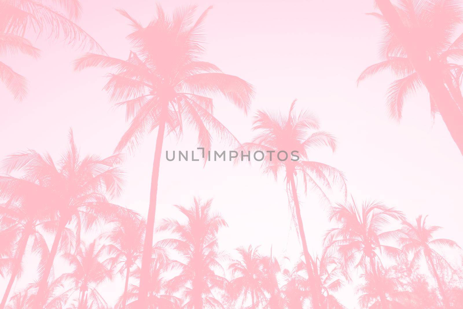 Tropical palm coconut trees on sunset sky flare and bokeh nature background by Suwant