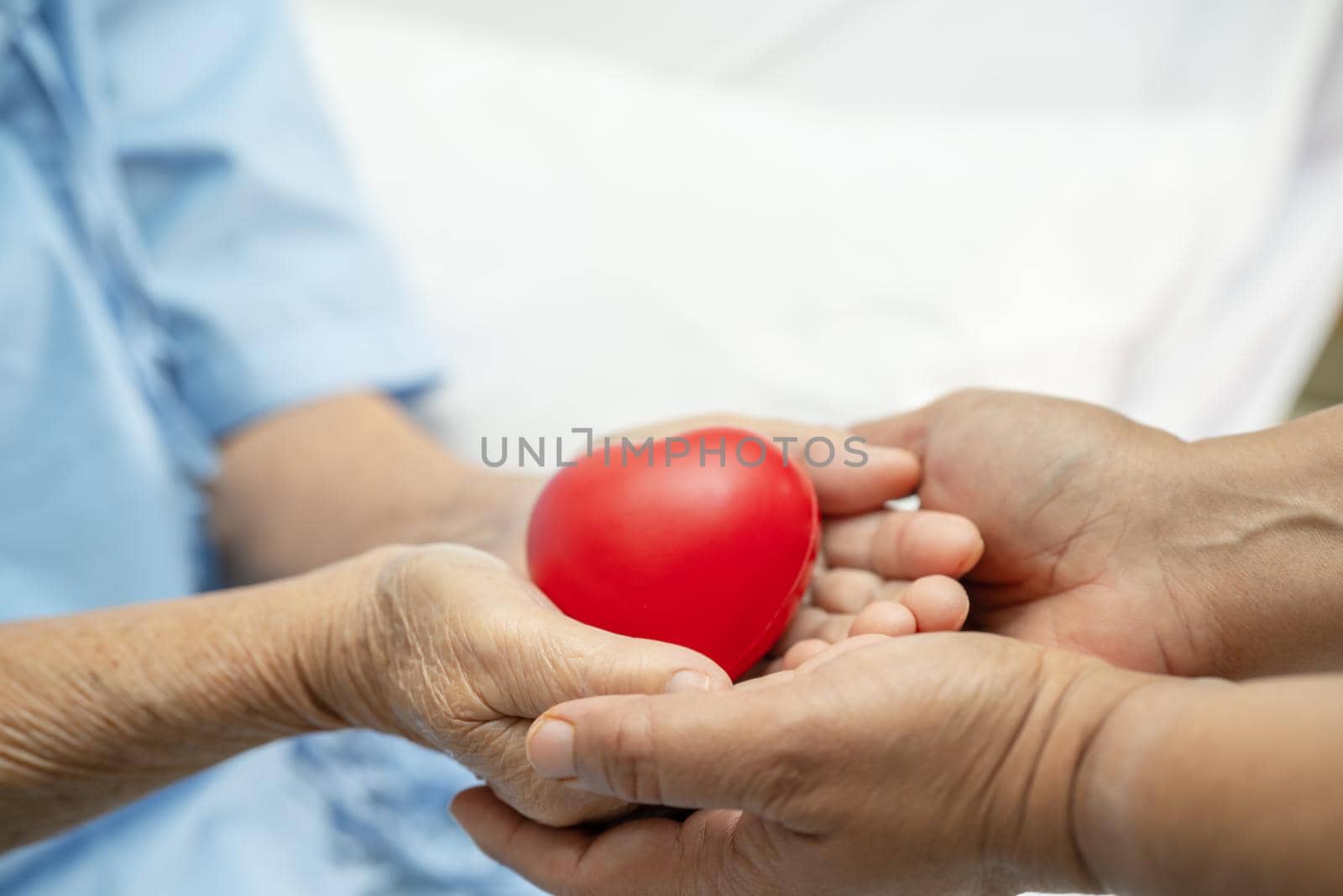 Asian senior or elderly old lady woman patient holding red heart in her hand on bed in nursing hospital ward, healthy strong medical concept by pamai