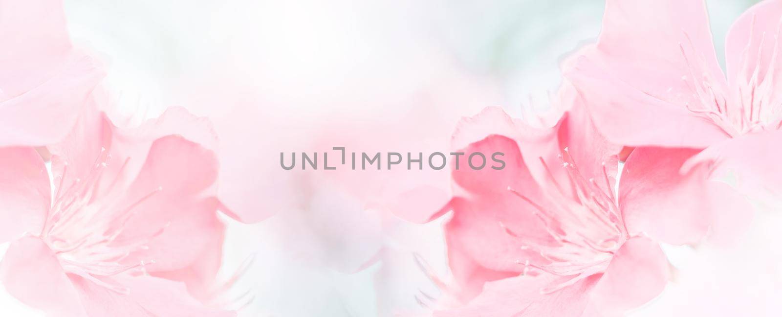 Pink red beautiful spring flower bloom branch background with free copy space for greeting card or environment cover page, template, web banner and header. by pamai