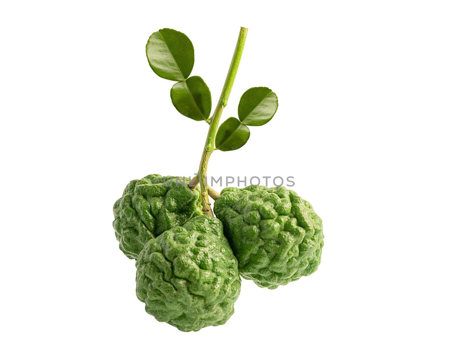 Fresh bergamot fruit with leaf on white background with clipping path.