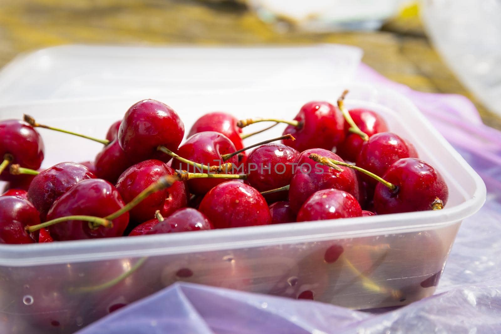 Container full of ripe, red, fresh cherries, freshly washed.
