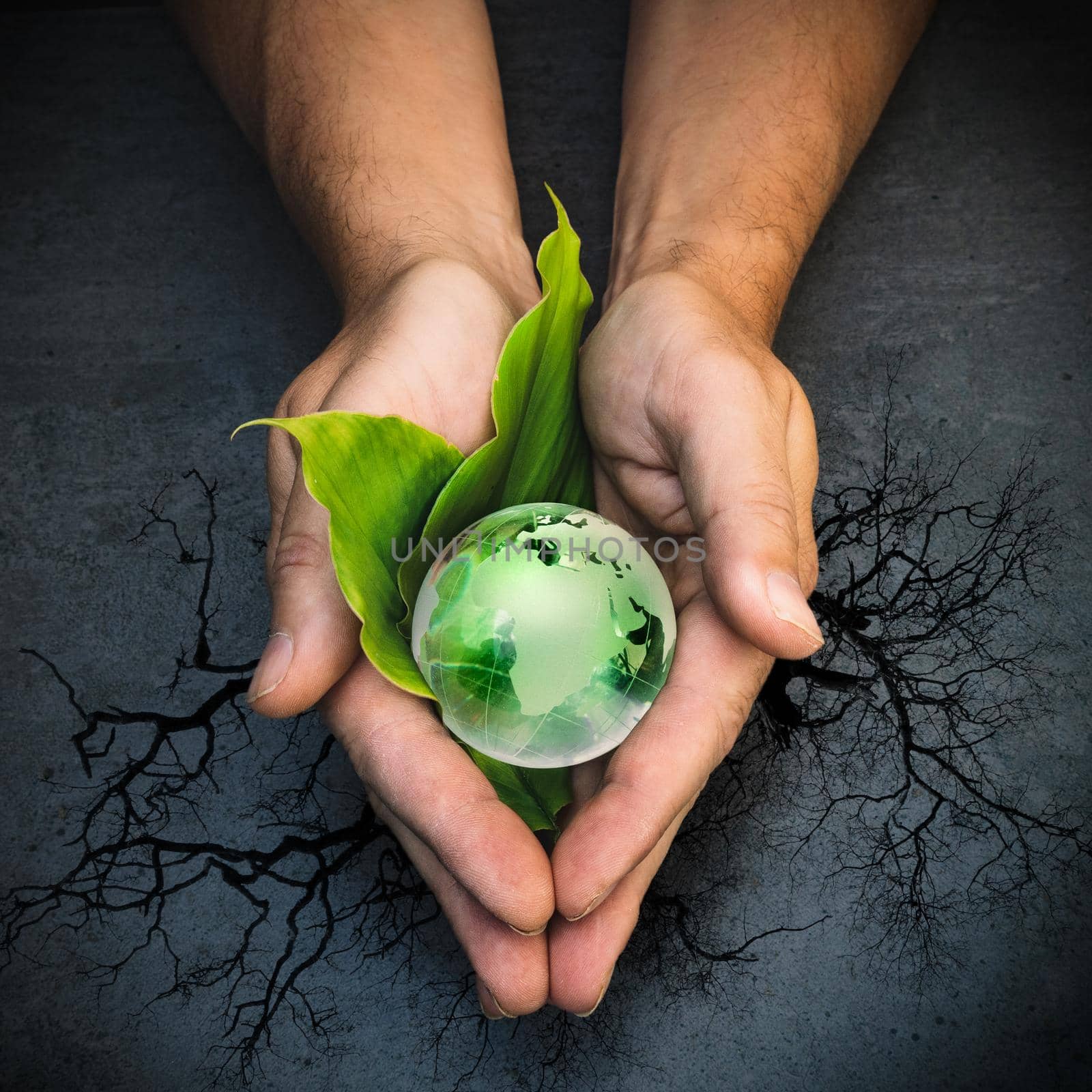 Hands holding a green globe of planet Earth on green leaves over tree and grey background