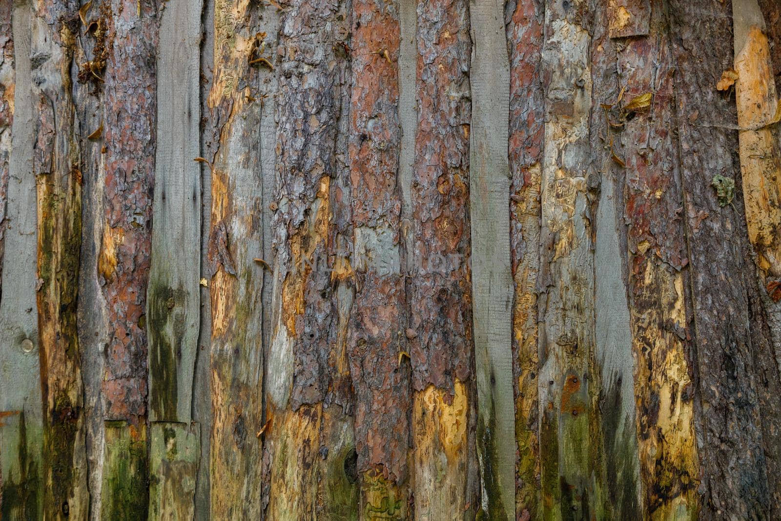 wattle and daub ceiling texture and flat full frame background.