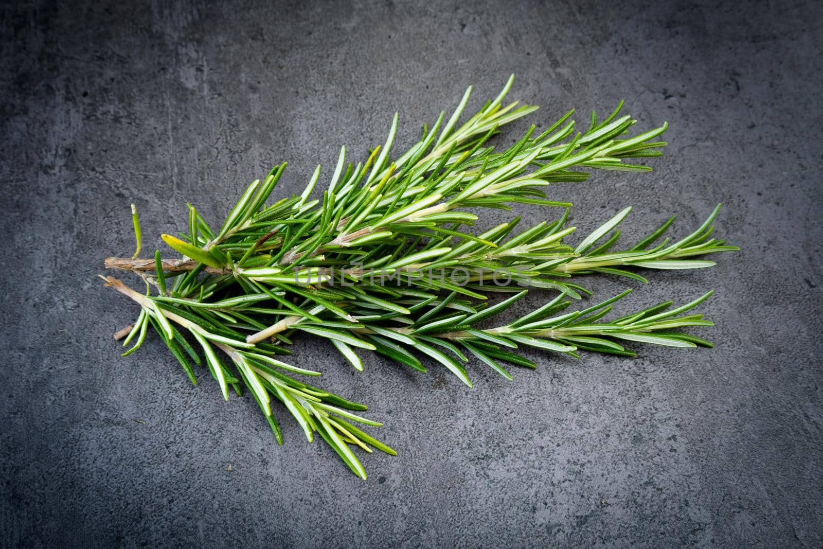 Fresh Rosemary aromatic herb over dark background