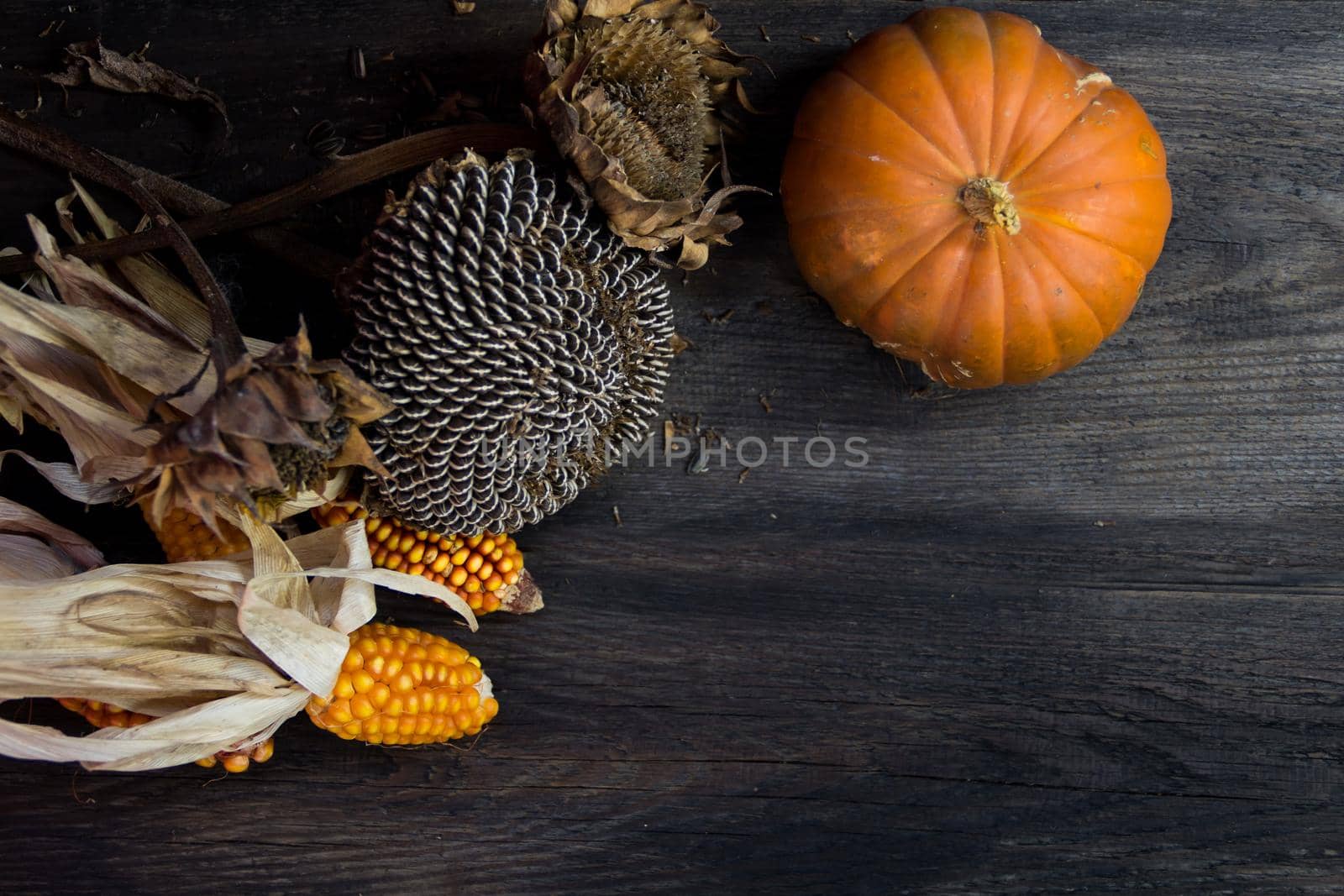 overhead view of fall harvest on rustic wood with place for text