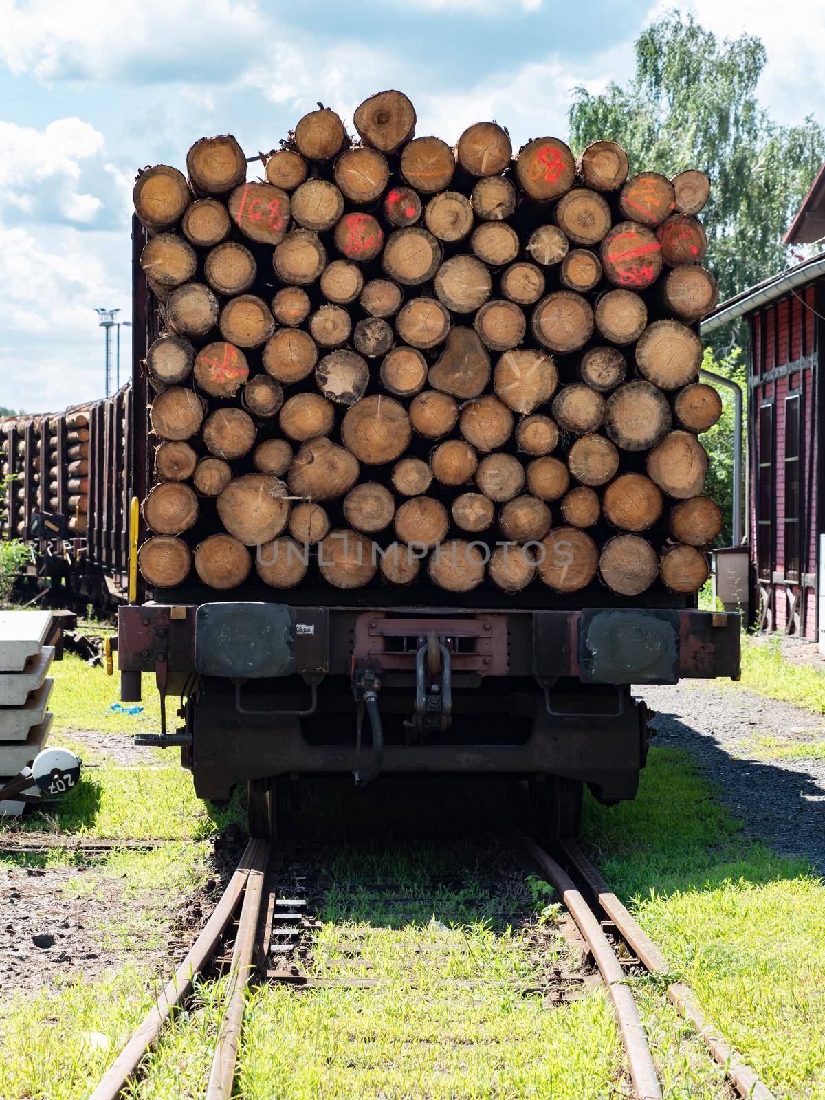 Freight cars loaded with wood logs on railway tracks.  by rdonar2