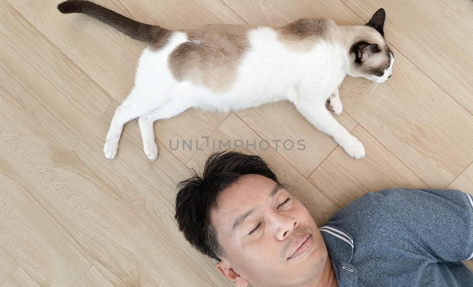 Asian man with elder cat lying on floor at home