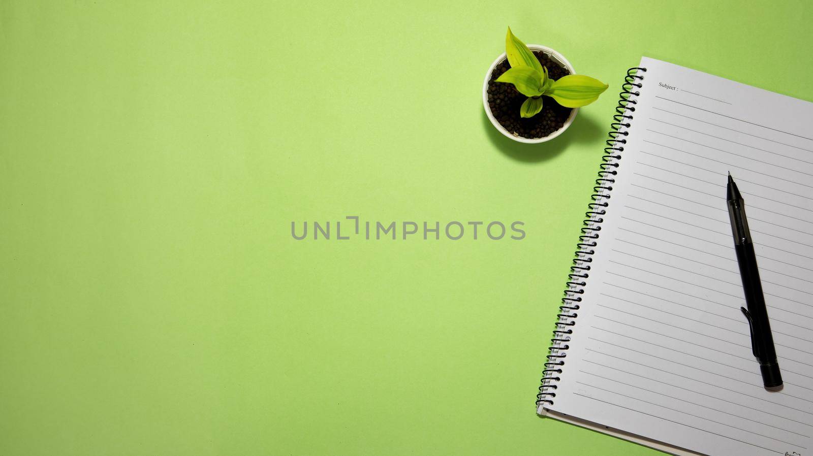 Flat lay black to school and education concept on green background with blank notepad, pencil, green plant and supplies.