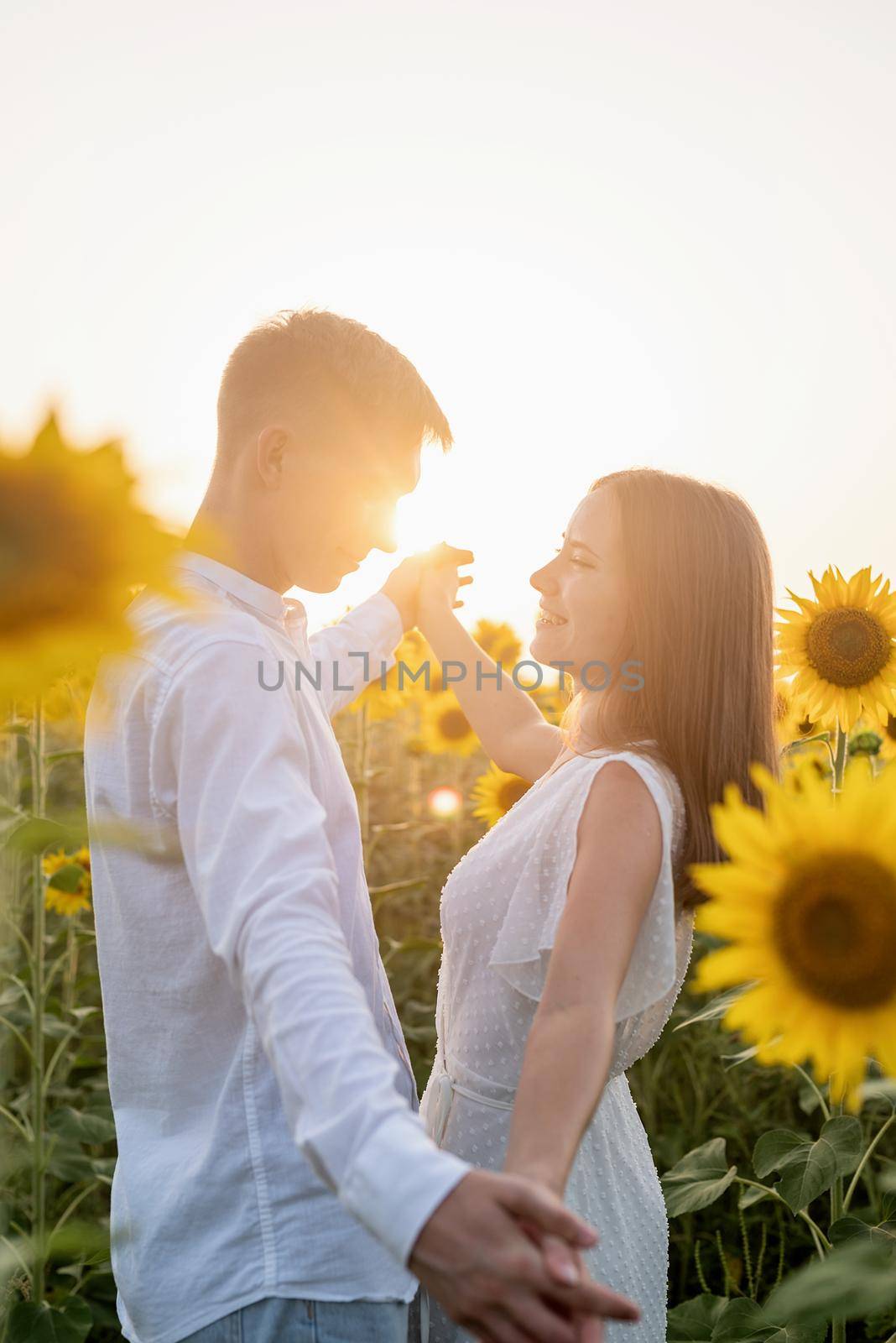 Autumn nature. Young romantic couple walking in sunflower field in sunset