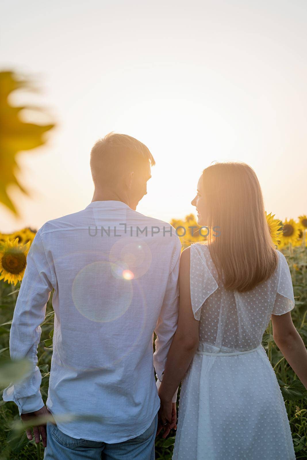 Autumn nature. Young romantic couple walking in sunflower field in sunset