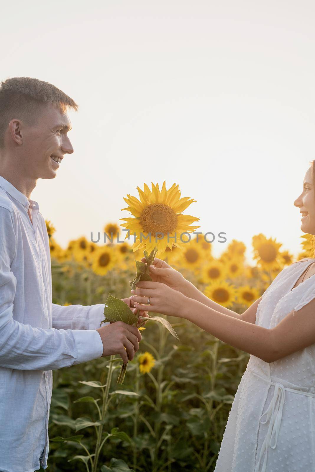 Autumn nature. Love and romance. Young romantic couple hugging in sunflower field in sunset