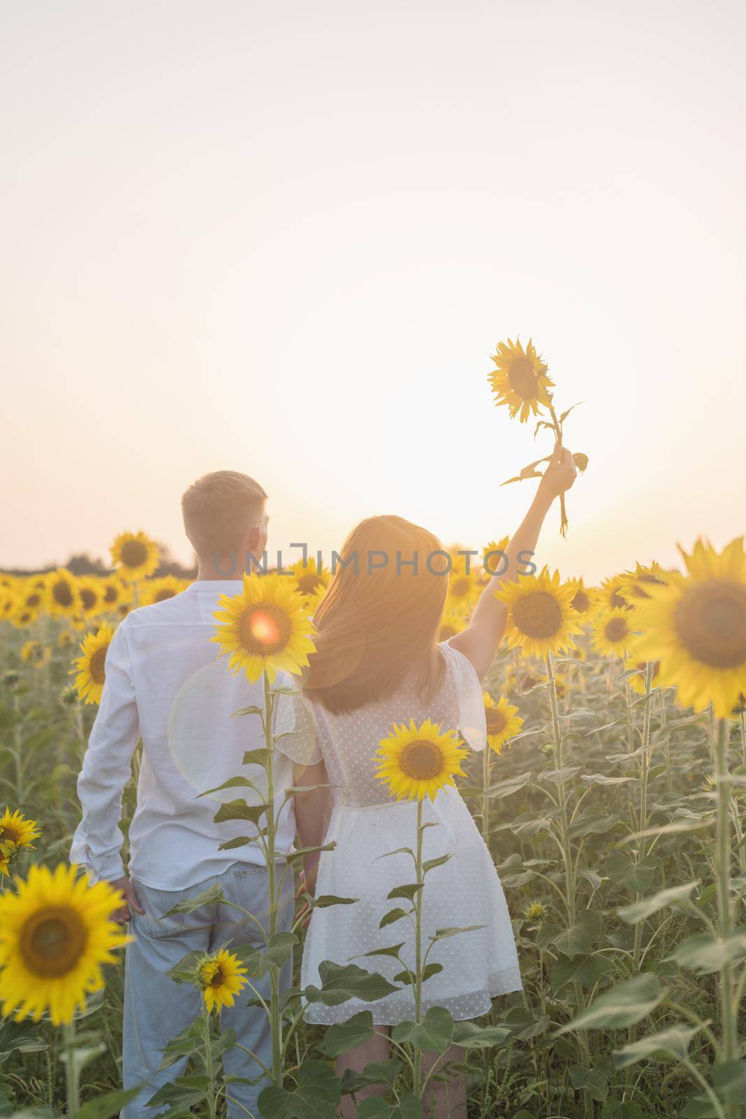 Beautiful couple having fun in sunflowers fields by Desperada