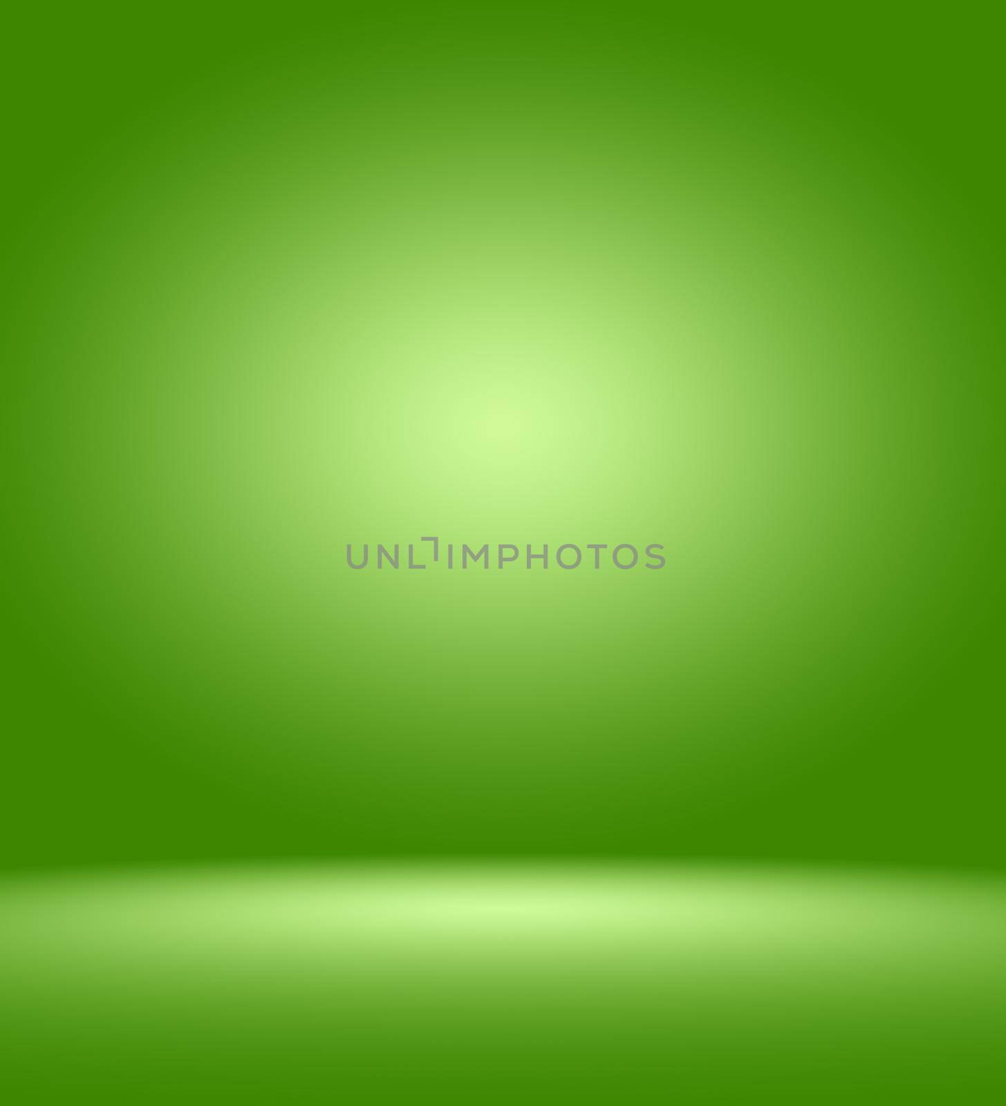 Empty Green Studio well use as background,website template,frame,business report.