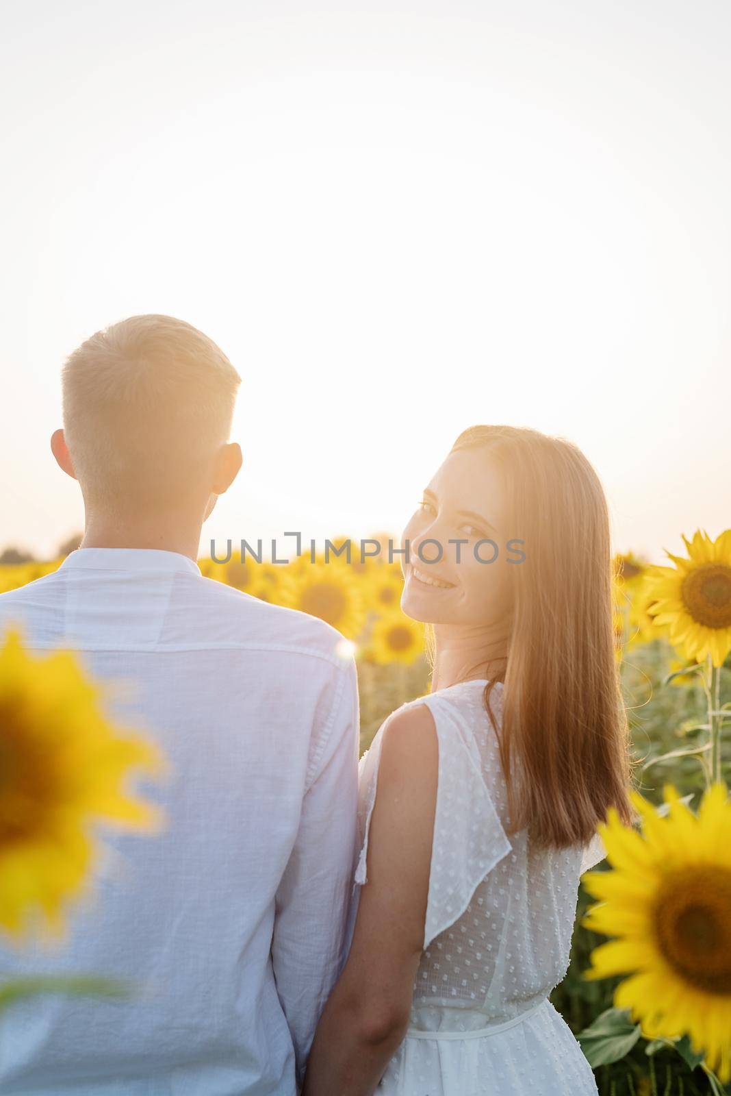 Beautiful couple walking together in sunflowers fields in sunset by Desperada