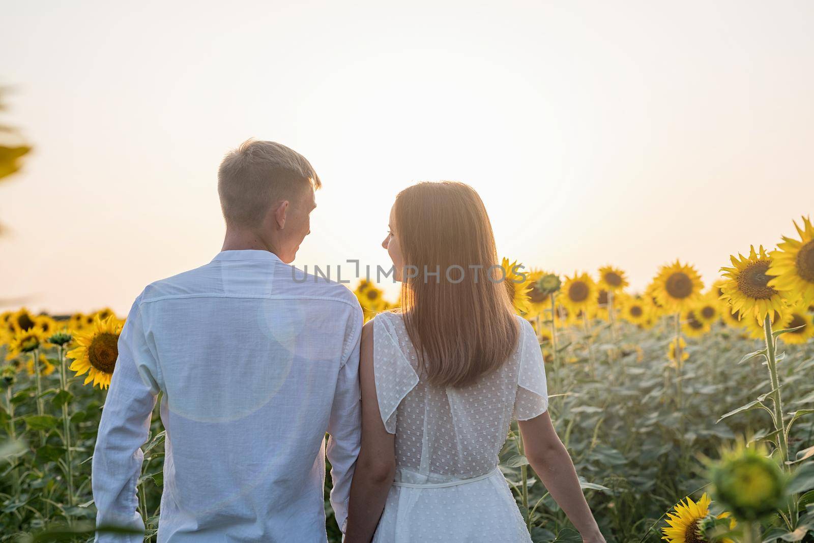 Beautiful couple walking together in sunflowers fields in sunset by Desperada