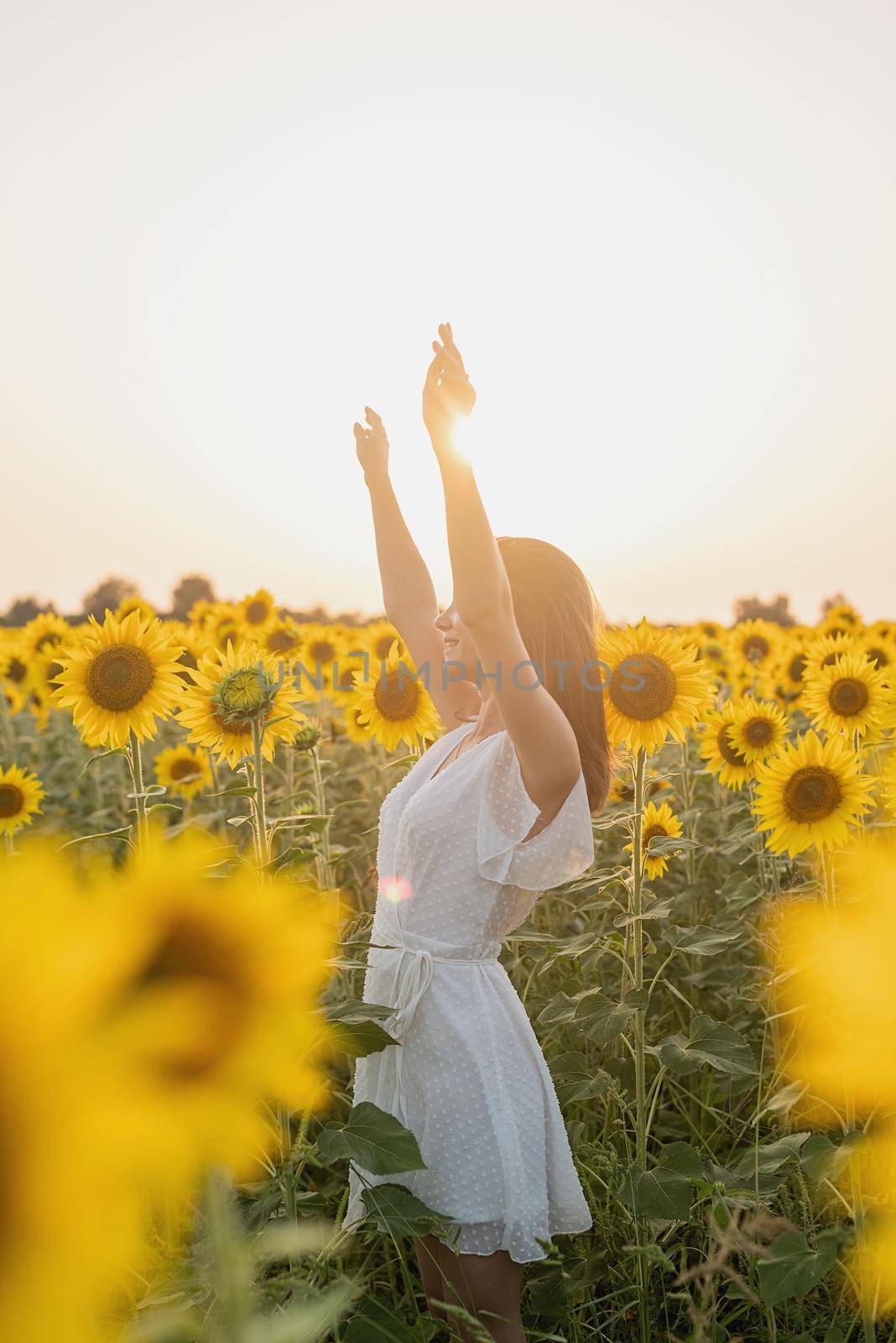 Freedom concept. Autumn nature. Young woman in white dress walking between sunflowers on a field in sunset raising her arms