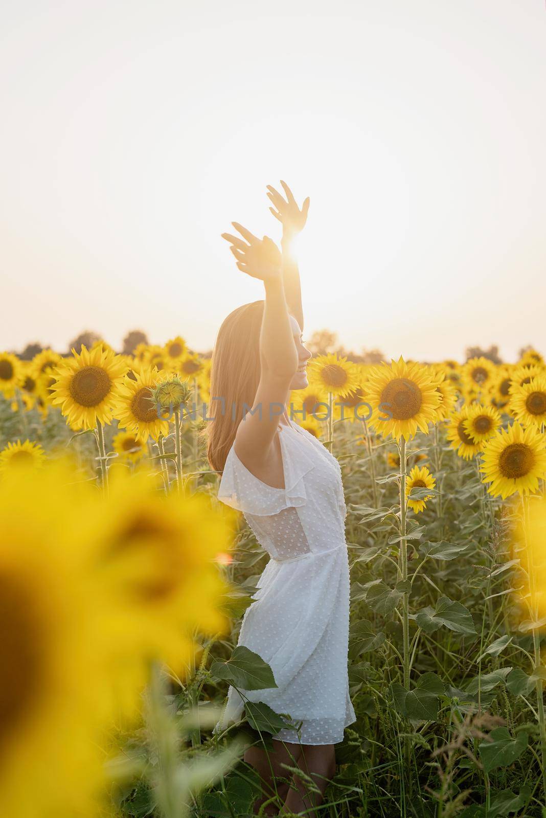 young beautiful woman between sunflowers in sunset by Desperada