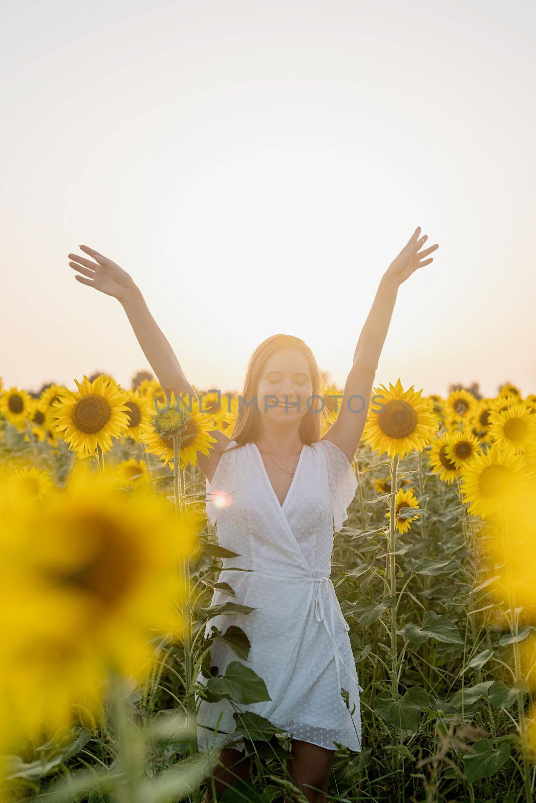 young beautiful woman between sunflowers in sunset by Desperada